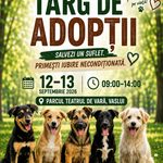 Târg de adopții 12-13 septembrie 2026